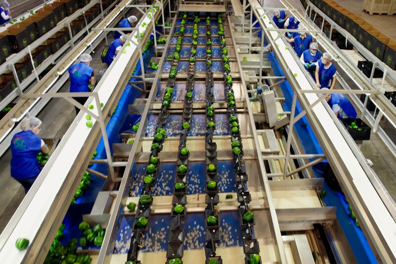 Línea de producción Valle Real